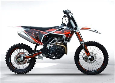 300cc 4 taktų visureigis motociklas